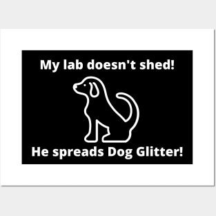 My lab doesn't shed!  He spreads dog glitter! Posters and Art